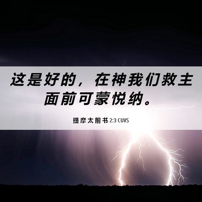 Picture 06 - 提 摩 太 前 书 2:3 CUVS - 这 是 好 的 ， 在 神 我 们 救 主 面 - Bible Verse Picture