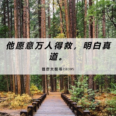 Picture 06 - 提 摩 太 前 书 2:4 CUVS - 他 愿 意 万 人 得 救 ， 明 白 真 道 - Bible Verse Picture