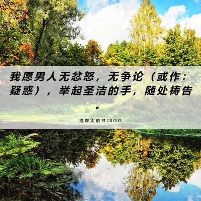 Picture 06 - 提 摩 太 前 书 2:8 CUVS - 我 愿 男 人 无 忿 怒 ， 无 争 论 （ - Bible Verse Picture