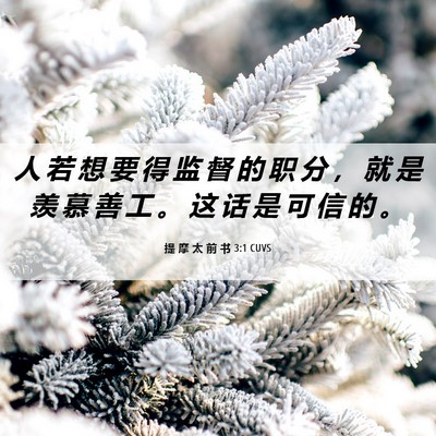 Picture 06 - 提 摩 太 前 书 3:1 CUVS - 人 若 想 要 得 监 督 的 职 分 ， 就 - Bible Verse Picture