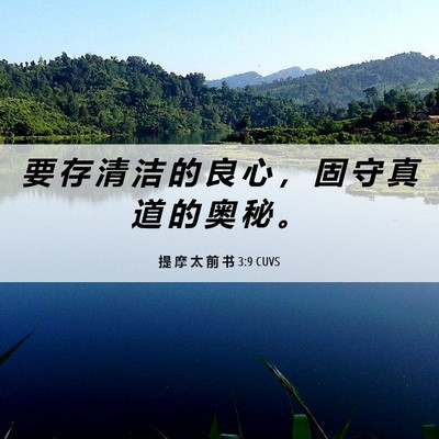 Picture 06 - 提 摩 太 前 书 3:9 CUVS - 要 存 清 洁 的 良 心 ， 固 守 真 道 - Bible Verse Picture