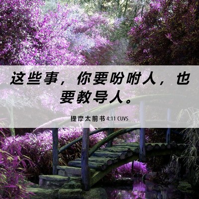 Picture 06 - 提 摩 太 前 书 4:11 CUVS - 这 些 事 ， 你 要 吩 咐 人 ， 也 要 - Bible Verse Picture