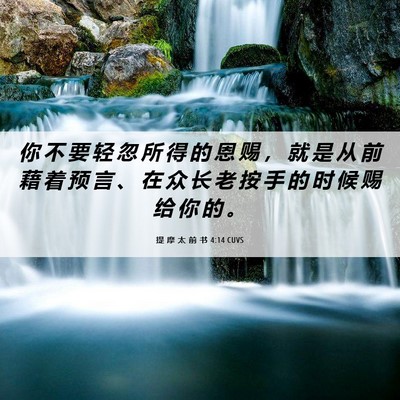 Picture 06 - 提 摩 太 前 书 4:14 CUVS - 你 不 要 轻 忽 所 得 的 恩 赐 ， 就 - Bible Verse Picture