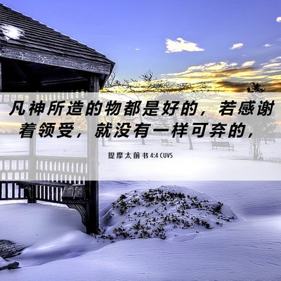 Picture 06 - 提 摩 太 前 书 4:4 CUVS - 凡 神 所 造 的 物 都 是 好 的 ， 若 - Bible Verse Picture