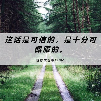 Picture 06 - 提 摩 太 前 书 4:9 CUVS - 这 话 是 可 信 的 ， 是 十 分 可 佩 - Bible Verse Picture