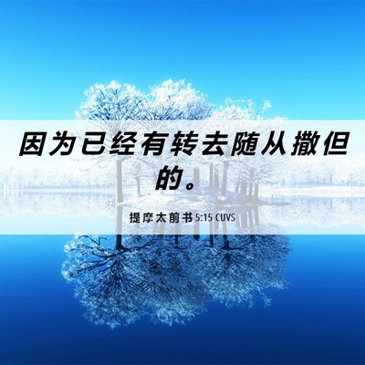 Picture 06 - 提 摩 太 前 书 5:15 CUVS - 因 为 已 经 有 转 去 随 从 撒 但 的 - Bible Verse Picture