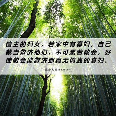 Picture 06 - 提 摩 太 前 书 5:16 CUVS - 信 主 的 妇 女 ， 若 家 中 有 寡 妇 - Bible Verse Picture