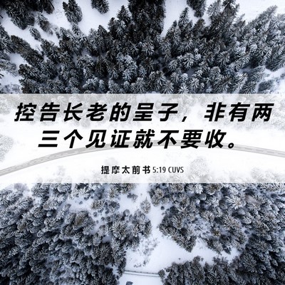 Picture 06 - 提 摩 太 前 书 5:19 CUVS - 控 告 长 老 的 呈 子 ， 非 有 两 三 - Bible Verse Picture