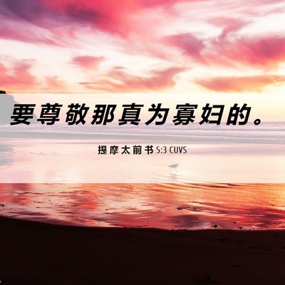 Picture 06 - 提 摩 太 前 书 5:3 CUVS - 要 尊 敬 那 真 为 寡 妇 的 - Bible Verse Picture