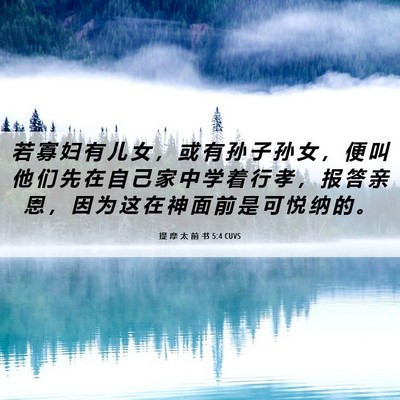 Picture 06 - 提 摩 太 前 书 5:4 CUVS - 若 寡 妇 有 儿 女 ， 或 有 孙 子 孙 - Bible Verse Picture