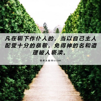 Picture 06 - 提 摩 太 前 书 6:1 CUVS - 凡 在 轭 下 作 仆 人 的 ， 当 以 自 - Bible Verse Picture