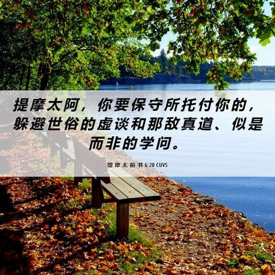 Picture 06 - 提 摩 太 前 书 6:20 CUVS - 提 摩 太 阿 ， 你 要 保 守 所 托 付 - Bible Verse Picture