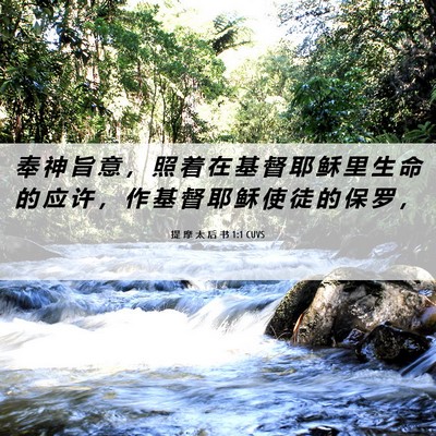 Picture 06 - 提 摩 太 后 书 1:1 CUVS - 奉 神 旨 意 ， 照 着 在 基 督 耶 稣 - Bible Verse Picture