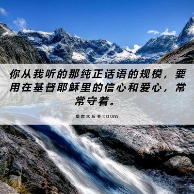 Picture 06 - 提 摩 太 后 书 1:13 CUVS - 你 从 我 听 的 那 纯 正 话 语 的 规 - Bible Verse Picture