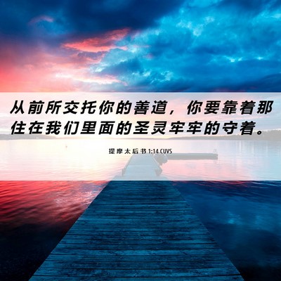 Picture 06 - 提 摩 太 后 书 1:14 CUVS - 从 前 所 交 托 你 的 善 道 ， 你 要 - Bible Verse Picture