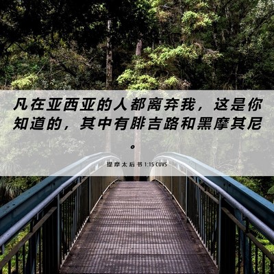 Picture 06 - 提 摩 太 后 书 1:15 CUVS - 凡 在 亚 西 亚 的 人 都 离 弃 我 ， - Bible Verse Picture