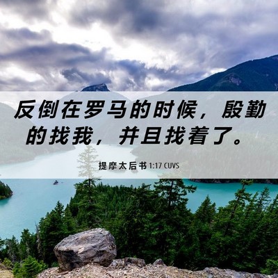 Picture 06 - 提 摩 太 后 书 1:17 CUVS - 反 倒 在 罗 马 的 时 候 ， 殷 勤 的 - Bible Verse Picture