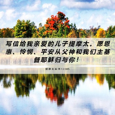 Picture 06 - 提 摩 太 后 书 1:2 CUVS - 写 信 给 我 亲 爱 的 儿 子 提 摩 太 - Bible Verse Picture