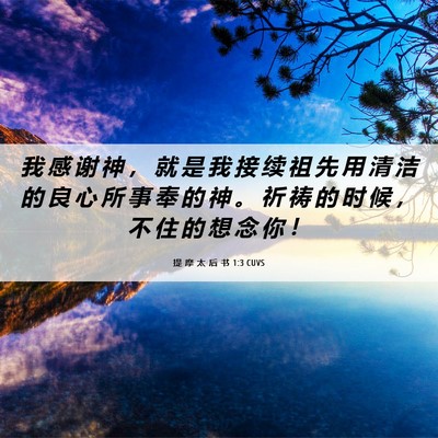 Picture 06 - 提 摩 太 后 书 1:3 CUVS - 我 感 谢 神 ， 就 是 我 接 续 祖 先 - Bible Verse Picture