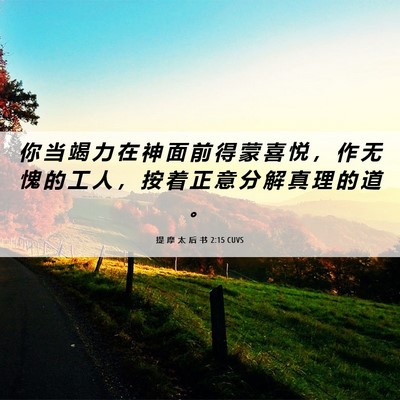 Picture 06 - 提 摩 太 后 书 2:15 CUVS - 你 当 竭 力 在 神 面 前 得 蒙 喜 悦 - Bible Verse Picture