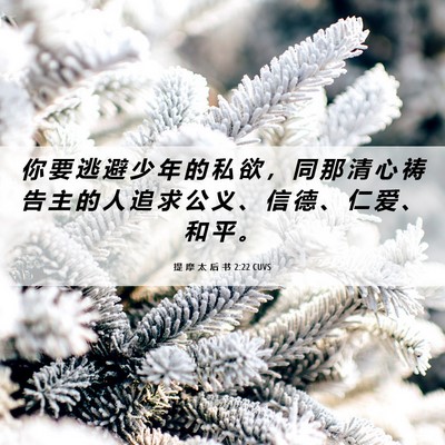 Picture 06 - 提 摩 太 后 书 2:22 CUVS - 你 要 逃 避 少 年 的 私 欲 ， 同 那 - Bible Verse Picture