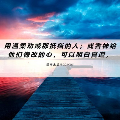 Picture 06 - 提 摩 太 后 书 2:25 CUVS - 用 温 柔 劝 戒 那 抵 挡 的 人 ； 或 - Bible Verse Picture