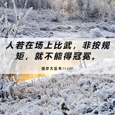Picture 06 - 提 摩 太 后 书 2:5 CUVS - 人 若 在 场 上 比 武 ， 非 按 规 矩 - Bible Verse Picture
