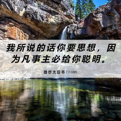Picture 06 - 提 摩 太 后 书 2:7 CUVS - 我 所 说 的 话 你 要 思 想 ， 因 为 - Bible Verse Picture
