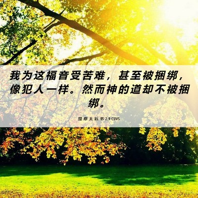 Picture 06 - 提 摩 太 后 书 2:9 CUVS - 我 为 这 福 音 受 苦 难 ， 甚 至 被 - Bible Verse Picture