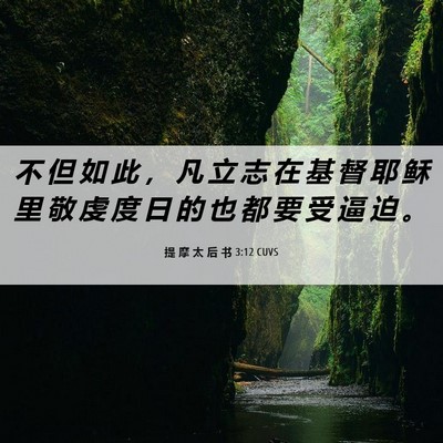 Picture 06 - 提 摩 太 后 书 3:12 CUVS - 不 但 如 此 ， 凡 立 志 在 基 督 耶 - Bible Verse Picture