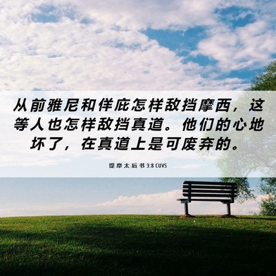 Picture 06 - 提 摩 太 后 书 3:8 CUVS - 从 前 雅 尼 和 佯 庇 怎 样 敌 挡 摩 - Bible Verse Picture