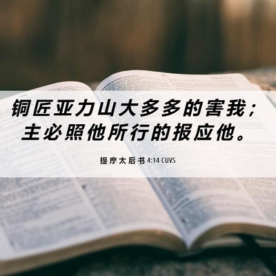Picture 06 - 提 摩 太 后 书 4:14 CUVS - 铜 匠 亚 力 山 大 多 多 的 害 我 ； - Bible Verse Picture