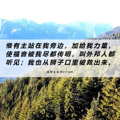 Picture 06 - 提 摩 太 后 书 4:17 CUVS - 惟 有 主 站 在 我 旁 边 ， 加 给 我 - Bible Verse Picture