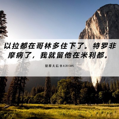 Picture 06 - 提 摩 太 后 书 4:20 CUVS - 以 拉 都 在 哥 林 多 住 下 了 。 特 - Bible Verse Picture