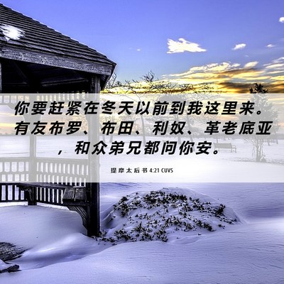 Picture 06 - 提 摩 太 后 书 4:21 CUVS - 你 要 赶 紧 在 冬 天 以 前 到 我 这 - Bible Verse Picture