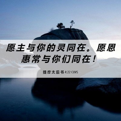Picture 06 - 提 摩 太 后 书 4:22 CUVS - 愿 主 与 你 的 灵 同 在 。 愿 恩 惠 - Bible Verse Picture