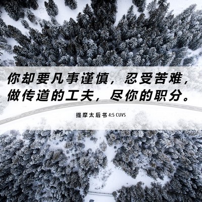 Picture 06 - 提 摩 太 后 书 4:5 CUVS - 你 却 要 凡 事 谨 慎 ， 忍 受 苦 难 - Bible Verse Picture