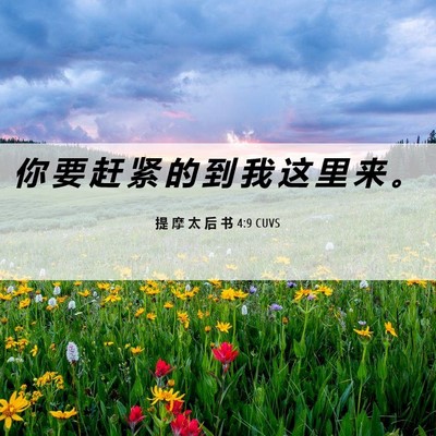 Picture 06 - 提 摩 太 后 书 4:9 CUVS - 你 要 赶 紧 的 到 我 这 里 来 - Bible Verse Picture