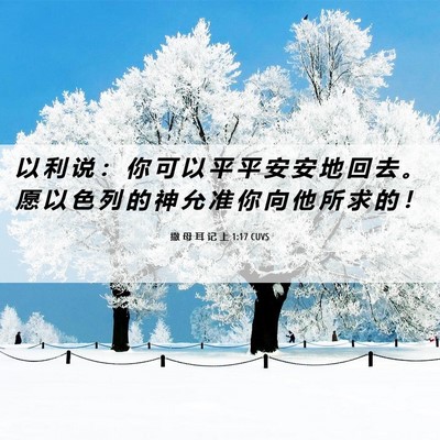 Picture 06 - 撒 母 耳 记 上 1:17 CUVS - 以 利 说 ： 你 可 以 平 平 安 安 地 - Bible Verse Picture