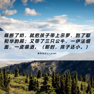 Picture 06 - 撒 母 耳 记 上 1:24 CUVS - 既 断 了 奶 ， 就 把 孩 子 带 上 示 - Bible Verse Picture