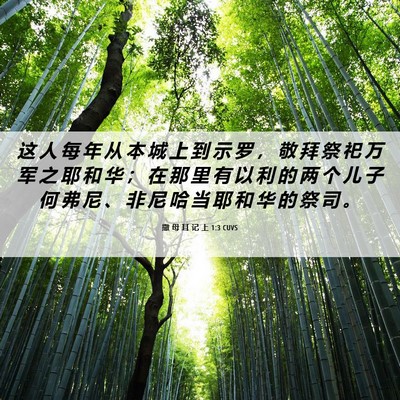 Picture 06 - 撒 母 耳 记 上 1:3 CUVS - 这 人 每 年 从 本 城 上 到 示 罗 ， - Bible Verse Picture