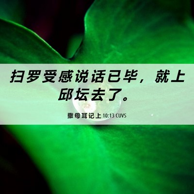 Picture 06 - 撒 母 耳 记 上 10:13 CUVS - 扫 罗 受 感 说 话 已 毕 ， 就 上 邱 - Bible Verse Picture