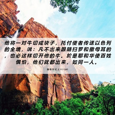 Picture 06 - 撒 母 耳 记 上 11:7 CUVS - 他 将 一 对 牛 切 成 块 子 ， 托 付 - Bible Verse Picture