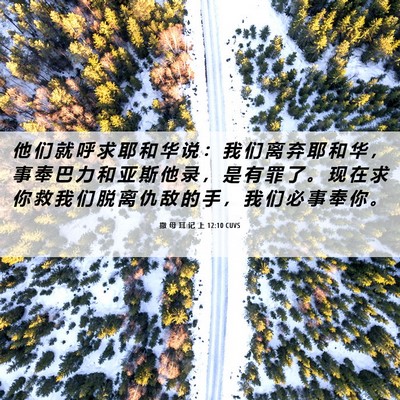 Picture 06 - 撒 母 耳 记 上 12:10 CUVS - 他 们 就 呼 求 耶 和 华 说 ： 我 们 - Bible Verse Picture