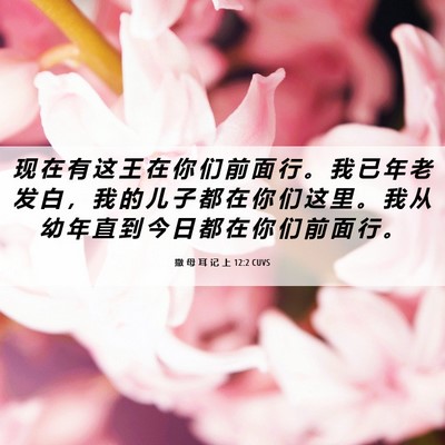 Picture 06 - 撒 母 耳 记 上 12:2 CUVS - 现 在 有 这 王 在 你 们 前 面 行 。 - Bible Verse Picture