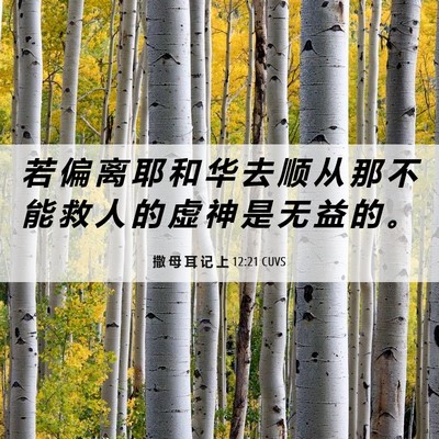 Picture 06 - 撒 母 耳 记 上 12:21 CUVS - 若 偏 离 耶 和 华 去 顺 从 那 不 能 - Bible Verse Picture