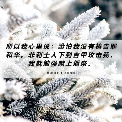 Picture 06 - 撒 母 耳 记 上 13:12 CUVS - 所 以 我 心 里 说 ： 恐 怕 我 没 有 - Bible Verse Picture