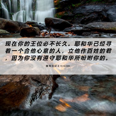 Picture 06 - 撒 母 耳 记 上 13:14 CUVS - 现 在 你 的 王 位 必 不 长 久 。 耶 - Bible Verse Picture