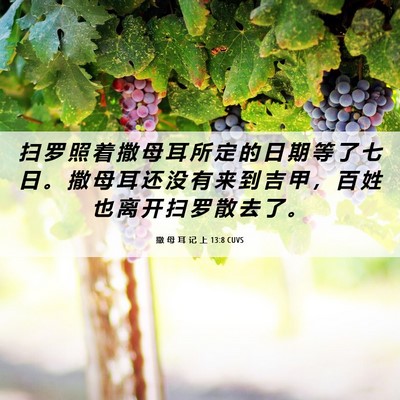 Picture 06 - 撒 母 耳 记 上 13:8 CUVS - 扫 罗 照 着 撒 母 耳 所 定 的 日 期 - Bible Verse Picture