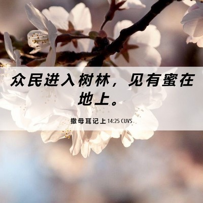 Picture 06 - 撒 母 耳 记 上 14:25 CUVS - 众 民 进 入 树 林 ， 见 有 蜜 在 地 - Bible Verse Picture